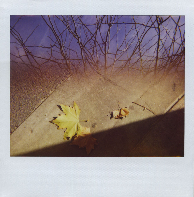 Multiples - Photography by Véra Ada